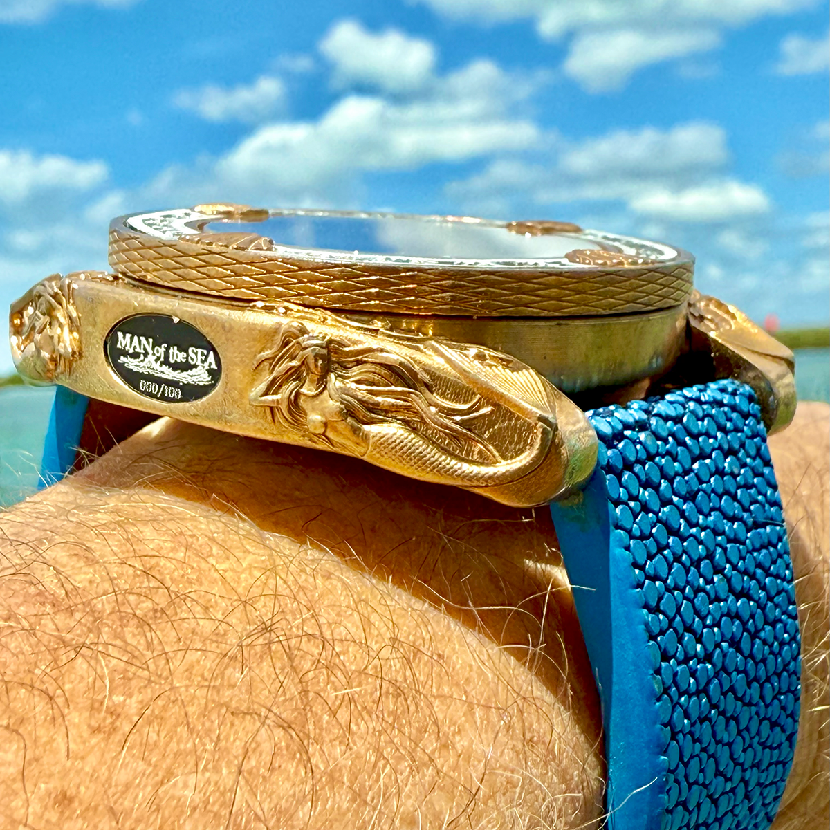 Under The Sea!